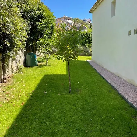 Modern Design & Pool Vila *